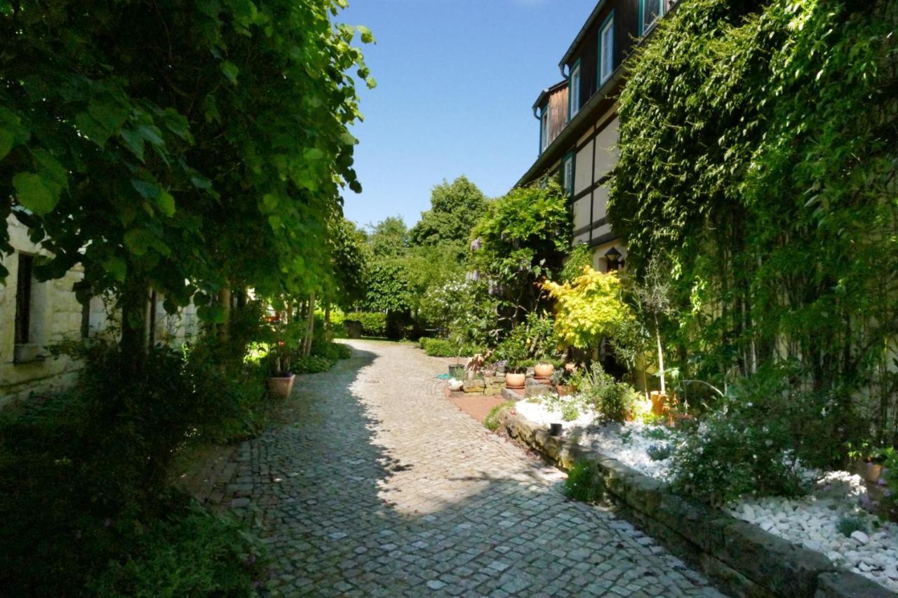 No.5 - Ferienwohnung Schkade Kleingiesshubel Exterior photo