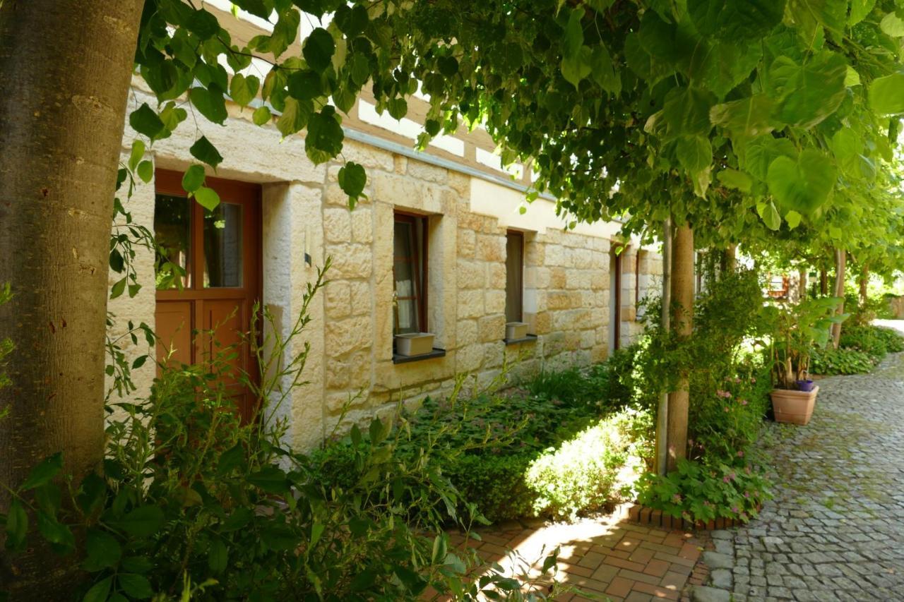 No.5 - Ferienwohnung Schkade Kleingiesshubel Exterior photo